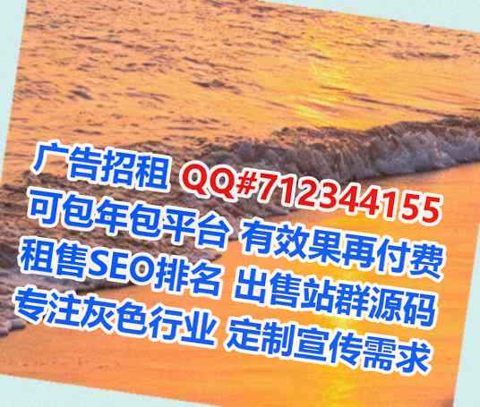 Chinese代生科技服务有限公司